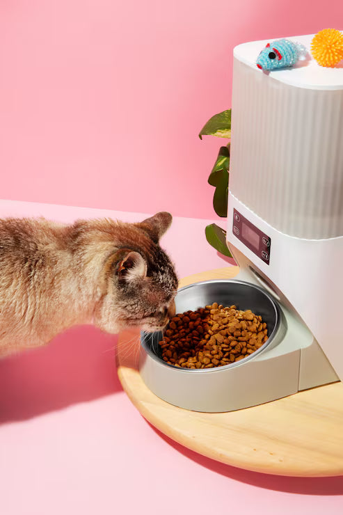 Cat Feeder
